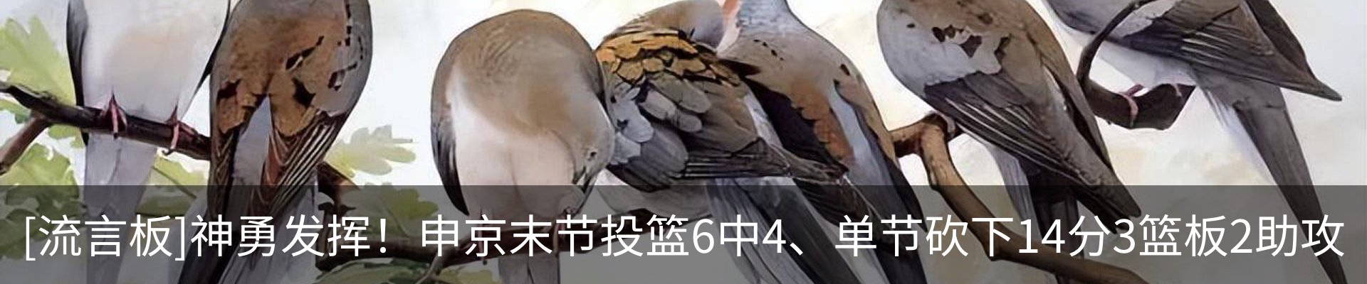 新闻动态